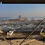 Lebanon 2020_8_5 (15).jpeg