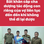 1778238748485.png