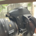 IMG_3513.jpeg