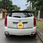 IMG_1457.jpeg