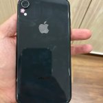 IMG_3448.jpeg