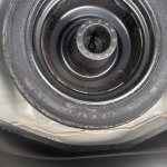 IMG_0230.jpeg