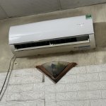 IMG_6240.jpeg