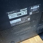 IMG_6305.jpeg
