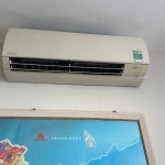 IMG_6341.jpeg