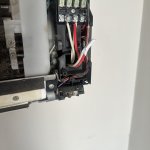 IMG_6338.jpeg
