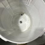IMG_6425.jpeg