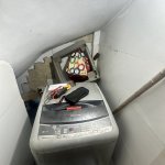 IMG_6395.jpeg
