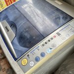 IMG_6484.jpeg
