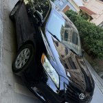 IMG_2122.jpeg