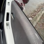 IMG_2037.jpeg