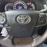 IMG_2049.jpeg