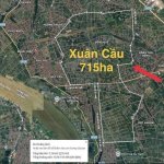 xuân cầu .jpg